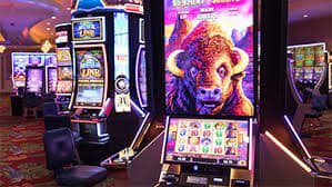 166bet25